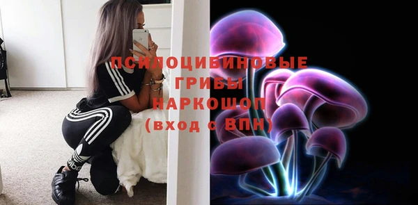 дмт Алексеевка