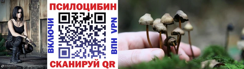 Псилоцибиновые грибы мицелий  Купить  Горняк 
